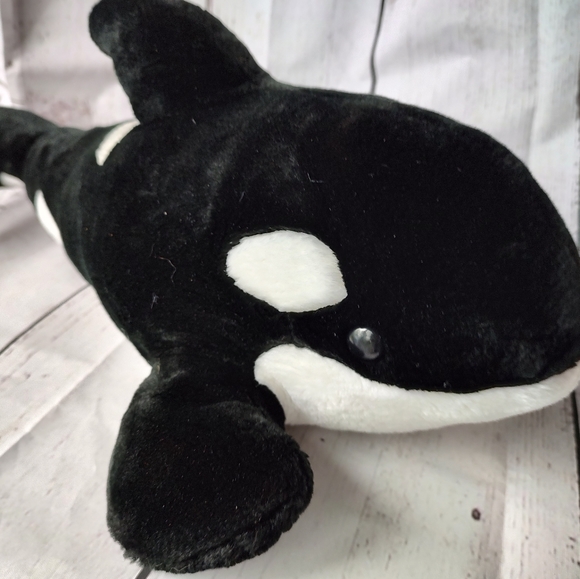 Sea world orca whale killer whale - Picture 1 of 5